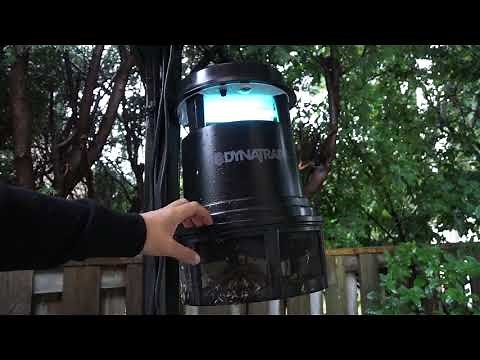DynaTrapXL Mosquito Trap - In-depth Review and Demo