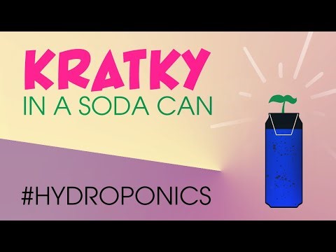 Grow Hydroponics in a Soda Can | Easy Kratky Method DIY