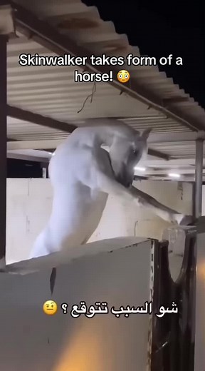 #viral #tiktok #skinwalker #horse #horror #creepy #fyp #video #shortclip #trend
