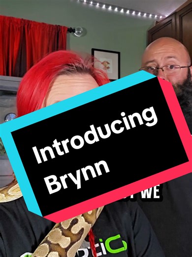 Meet Brynn: Our Beloved Ball Python