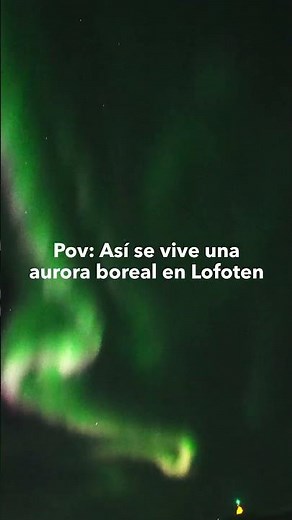 This is what experiencing the Northern Lights in Lofoten is like