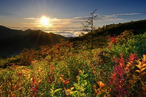 富士フイルム X-H2 ～最新技術がぎゅっと詰まった階調豊かな高画素モデル～｜萩原れいこ | ShaSha