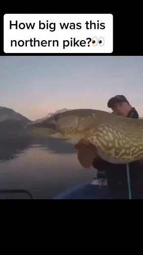 Catching a Huge Northern Pike: Biggest Ever Caught!
