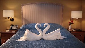 37 reactions · 4 comments | #tbt to that full-scale hotel room that we built and animated for Citizen M Hotels with our Buddy PES! Animated by the awesome Dillon Markey. | Stoopid Buddy Stoodios | Facebook