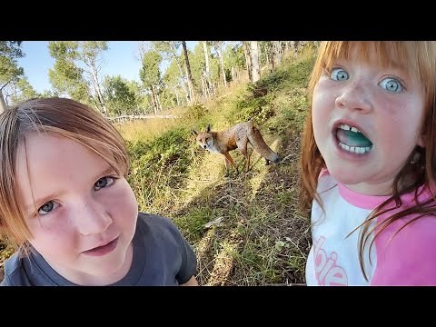 FEEDiNG A REAL FOX 🦊 Camping with Animals, Adley catches a Fish, Best family trip to the cabin Ever