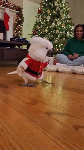 Tourist Channel | Christmas Party | Instagram