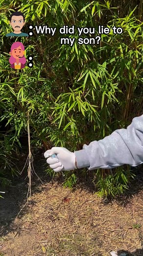 Do you want to order one ☝️ #magicstaff #toy #magicgift #tiktokmademebuyit #girl