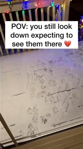 She left paw prints on my heart 💔 #pets #petloss #dogloss #dog #dogs #dogshorts #pawprints