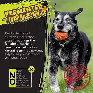 Turmeric Plus for Dogs, Fermented Turmeric Dog-Food Topper