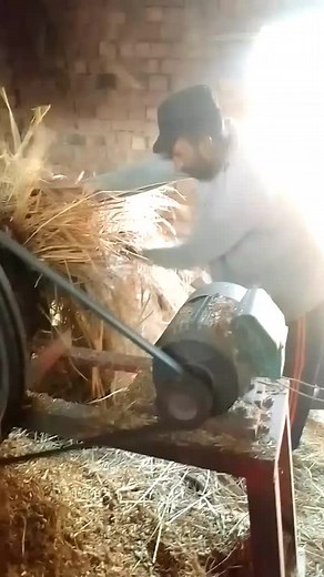 Traditional Grain Threshing Techniques in Rural Settings