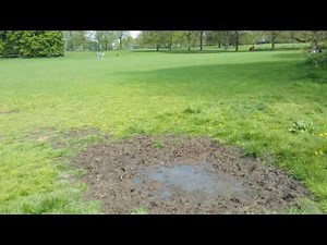 Bella jumping into mud puddle