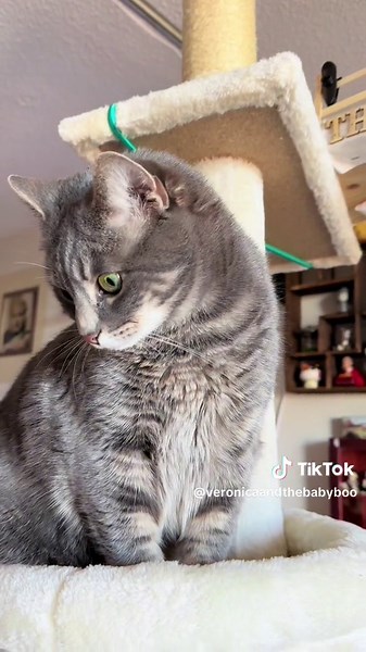 Behind the scenes! Meet the REAL Veronica and the Baby Boo! Actor vs. Character. This is how it would be if their characters were more like their real selves ##bts##actorvscharacter