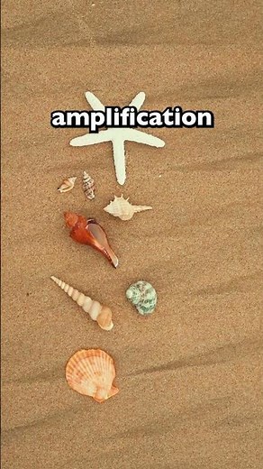 The SURPRISING Reason SEASHELLS Sound Like the OCEAN! 😱