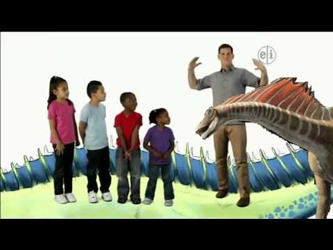 Dinosaur Discoveries Amargasaurus