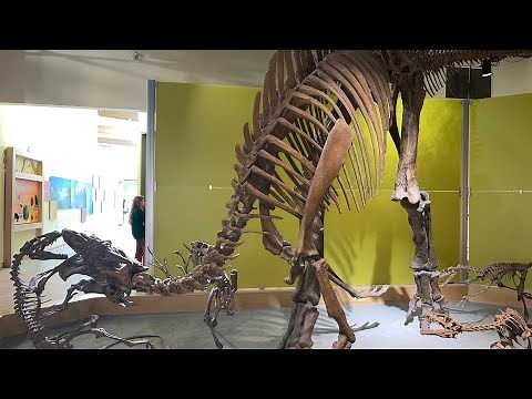 DINOSAUR PROVINCIAL PARK Alberta, Visitor Center & Museum Tour 4k Vlog
