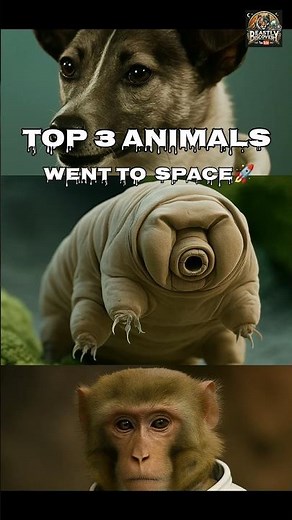 Top 3 Animals that went to Space 🚀 #spaceanimals #laika #monkey #tardigrades #animals #nature#viral