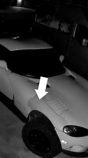 Infrared Camera Shows Hidden Bodywork