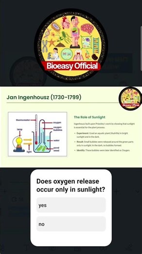 Photosynthesis – Class 11 Biology | NCERT Explained | NEET #ncert #neet #photosynthesis #biology