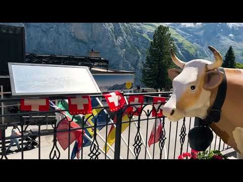 [FULL REVIEW & WALKTHROUGH] Hotel Eiger Mürren | Luxury Hotel 4K Tour with Crazy ALPS Views