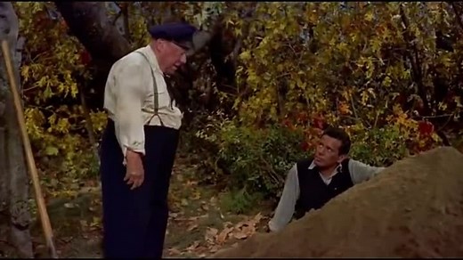 The Trouble with Harry (1955) Director: Alfred Hitchcock... John Forsythe, Shirley MacLaine, Edmund Gwenn