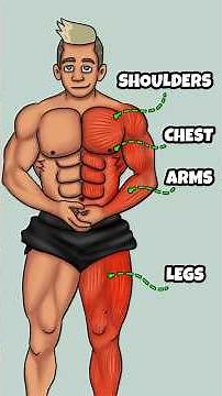 Best Compound Exercises to Build Muscle Fast