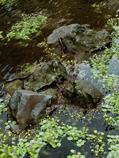 D5 Render - Exterior Environment Modeling #d5render #d5rendertutorial #tutorial #cinematic