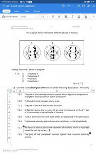 1.1.6Identify the correct phase in the diagram:A. Anaphase I... | Filo