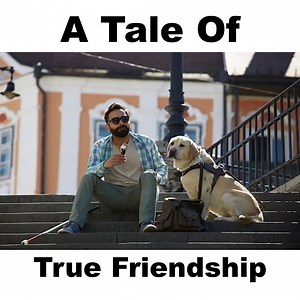 1.1M views · 33K reactions | Who else want a Friend like this | Life 'N' Lesson | Facebook