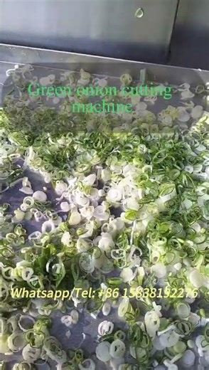 Green onion chopper machine for restaurant use