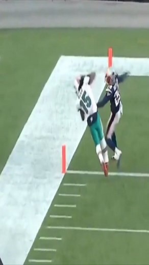 Throwback Thursday With Some Davone Bess Highlights. #Finsup . . . . . #nfl #Miami #dolphins #fins4life #dolfans #reels #instagramreels #miamidolphins #highlights #sportsedits #football | MIAMI DOLPHINS BANDITS