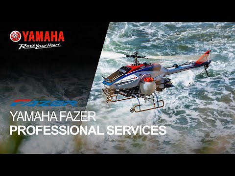 Yamaha FAZER | Professional Services