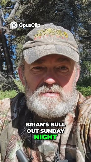 Epic Elk Hunt Sunshine, Rain, and Snow Capped Mountains! #shorts #elkhunting