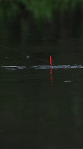 232K views · 2.1K reactions | If you love river fishing you won't want to miss the #roach masterclass with @simedaley which is coming next to FISHFLIX.online #hampshireavon | Martin Bowler | Facebook