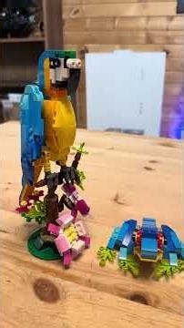 See the full build in my channel #lego #exoticparrot #mccaw #frog #fish
