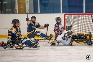 Mixed results for the Steelkings, as Kings victorious but Stings are overcome