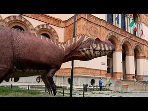 Civic Museum of Natural History of Milan | Museo Civico di Storia Naturale di Milano