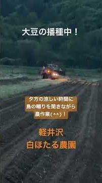軽井沢 白ほたる農園 大豆播種その4(4/6) #白ほたる #農業 #自然栽培