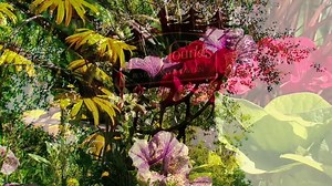 1.3K views · 89 reactions | Come and see The Fox and Hounds in full bloom!  | The Fox & Hounds Restaurant & Tavern | Facebook