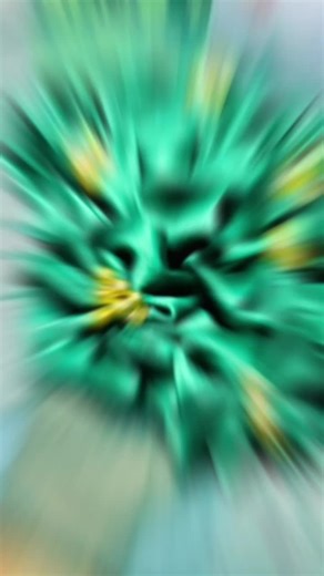 wendy's hats and Fascinators (@wendy.maka)’s videos with Life is Beautiful - Deep Music