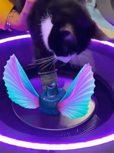 Japan's Innovative Self-Sizing Sneaker Pod