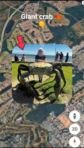 OMG Giant crab 🦀 on Google maps and google earth #shots #mr earth