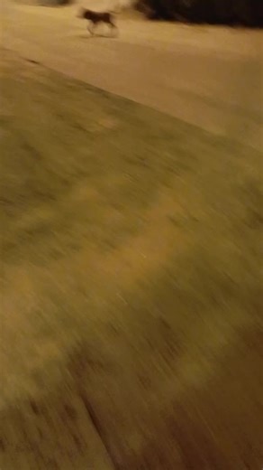 Videos de Christian Lin 1 (@christianlin2) con “sonido original - 𝕯𝖊𝖘𝖈𝖔𝖓𝖊𝖈𝖙𝖆𝖉𝖔💙❤🖤”