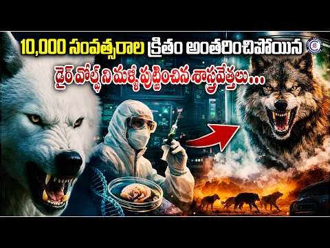 10,000 సంవత్సరాల క్రితం అంతరించిపోయిన డైర్ వోల్ఫ్ ని మళ్ళీ పుట్టించిన శాస్త్రవేత్తలు….#news #telugu