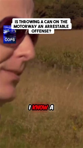 Understanding Traffic Law and Public Order Regulations