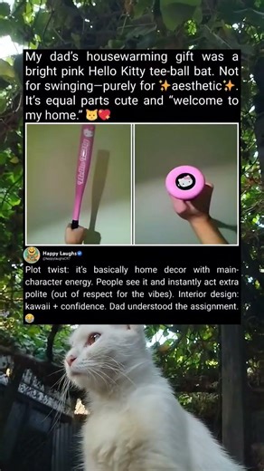 Hello Kitty Bat Gift: A Cute Housewarming Decor Surprise