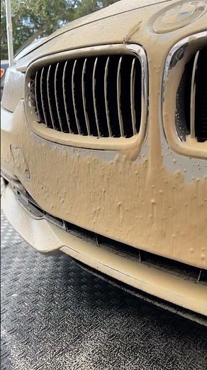 How to remove bugs from your car without scrubbing. #detailing