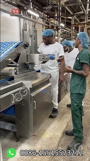 What Is The Process of Biscuit Production?