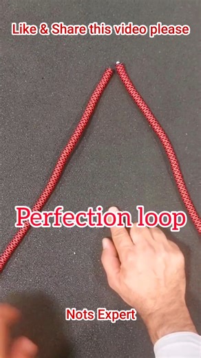 16K views · 90 reactions | Perfection Loop & easy release Technic #knot #outdoors #diy #techniques #trick #tips #fyp #knottying #knottok #knots #knotok #sailor #marine #line #rope #notsexpert | Nots Expert | Facebook