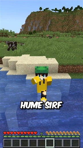 Minecraft Turtle Secret 🐢 #shorts #minecraft