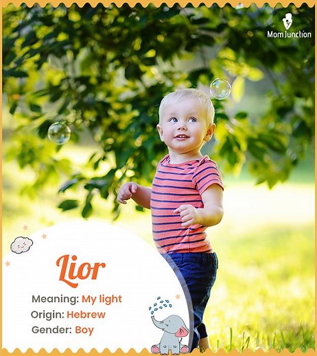 Lior Name, Origin, Meaning, And History